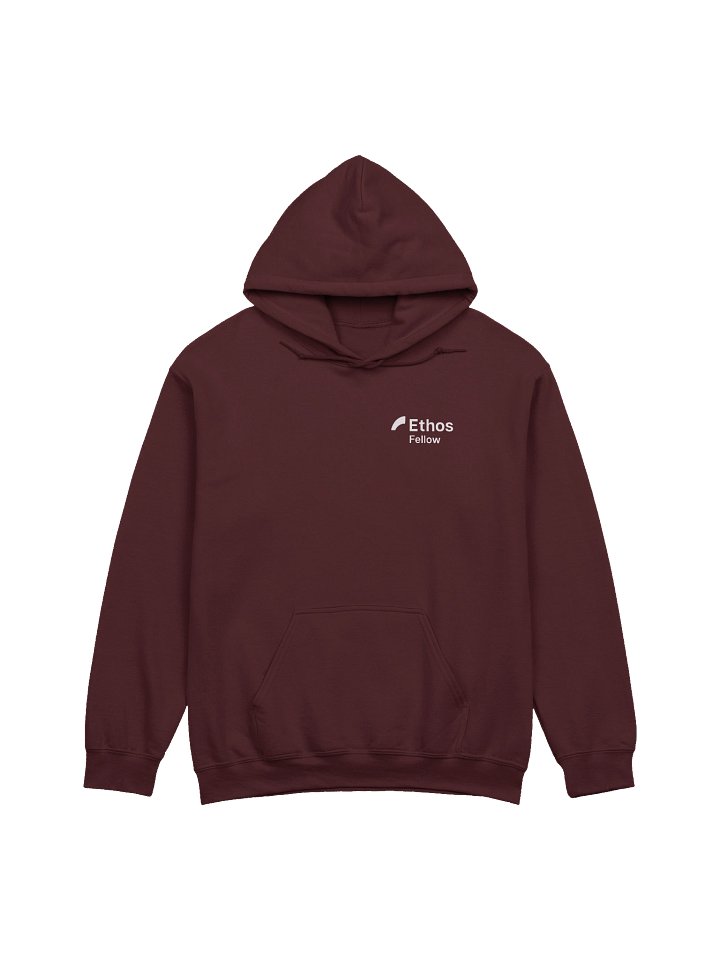Ethos Fellow - Hoodie product image (1)