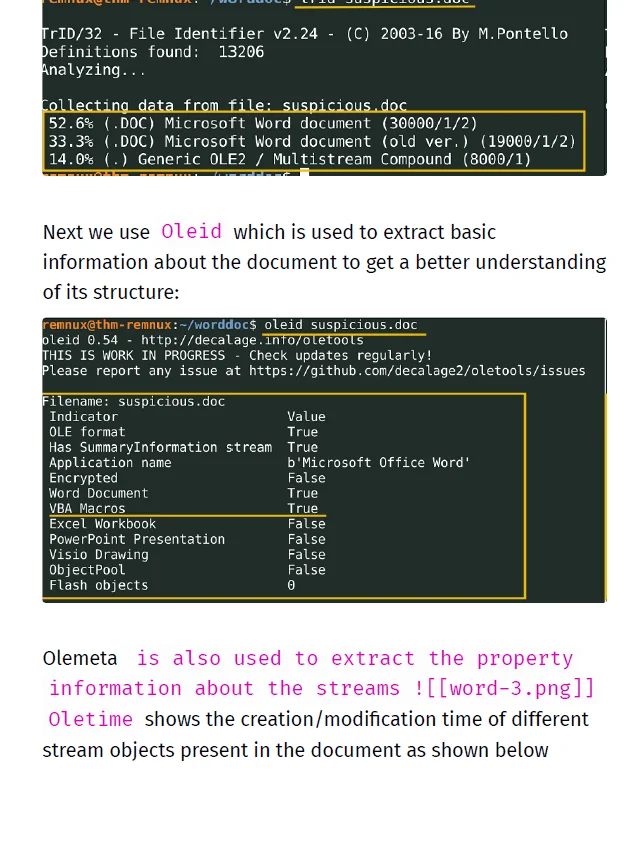 Computer Forensics Study Notes product image (6)