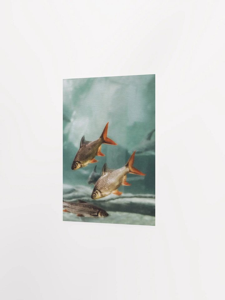 Aquatic Harmony Matte Poster product image (26)