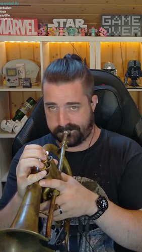 Welchen Klassiker spiele ich? Schreibs mir in die Kommentare!
#guessthesong #songrätsel #trumpet #twitch