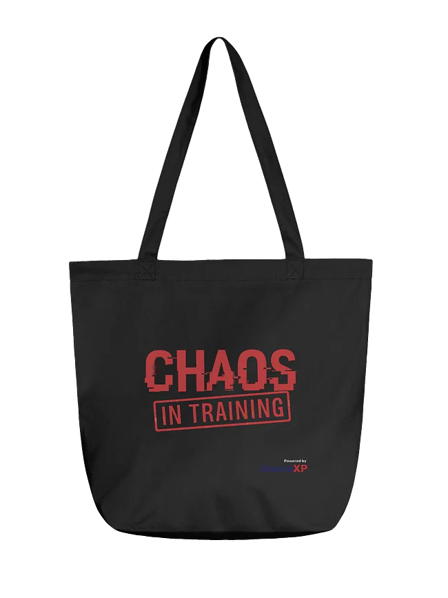 Chaos in Training