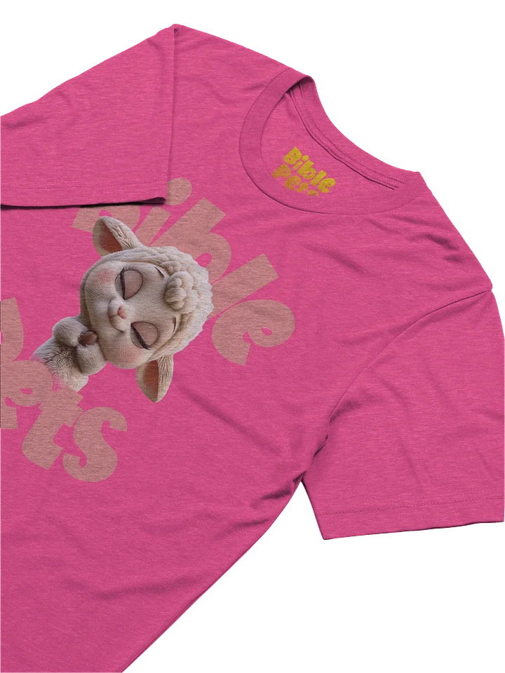 Tabby Praying Adult T-Shirt product image (10)