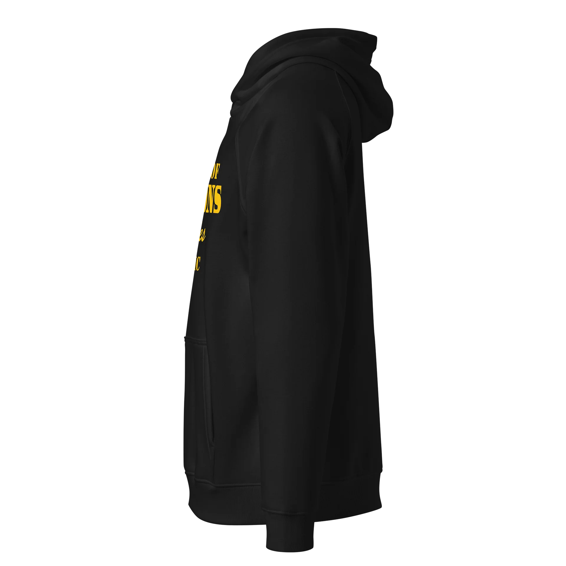 GldnVntg Athletic Dept. Hoodie product image (2)