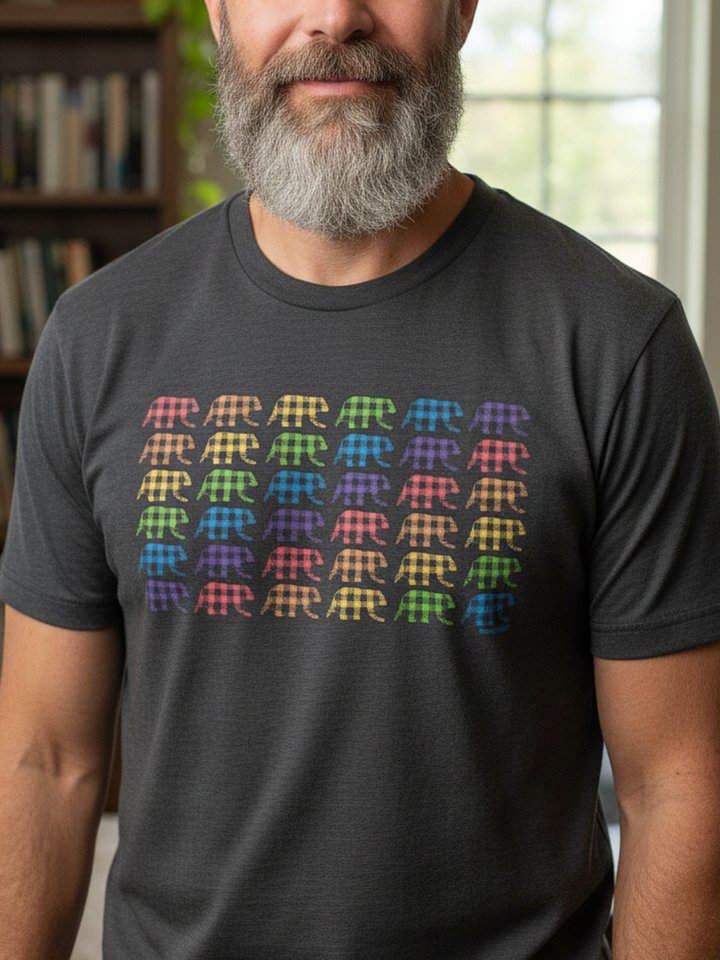 Rainbow Buffalo Check Bear Pride T-Shirt product image (2)
