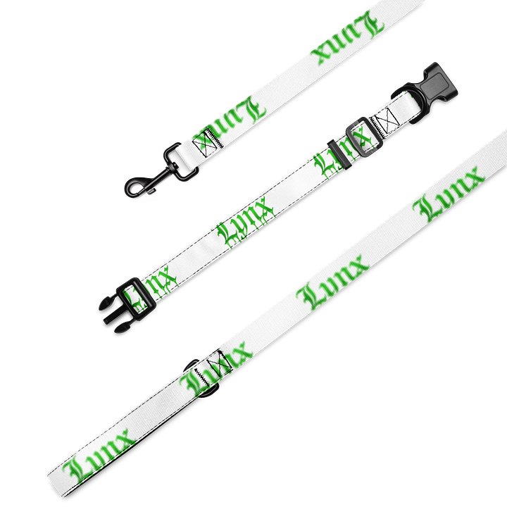 Lynx Collar Leash product image (2)