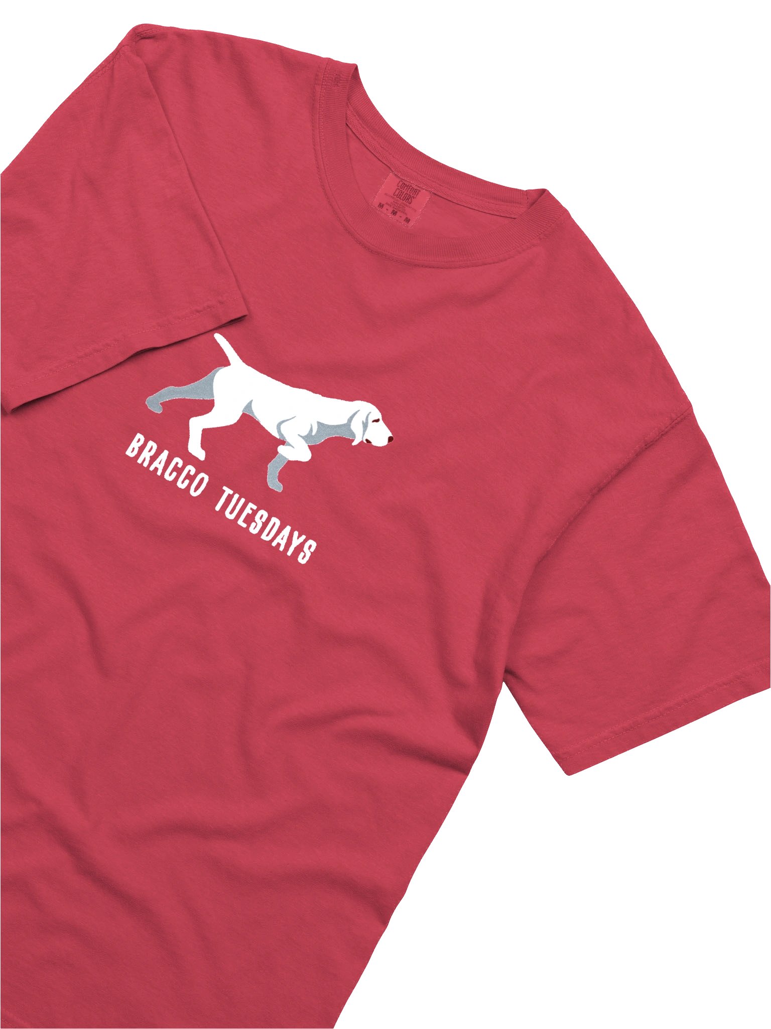 Bracco Tuesdays T-Shirt(Embroidered) of a Bracco Italiano(White) product image (8)