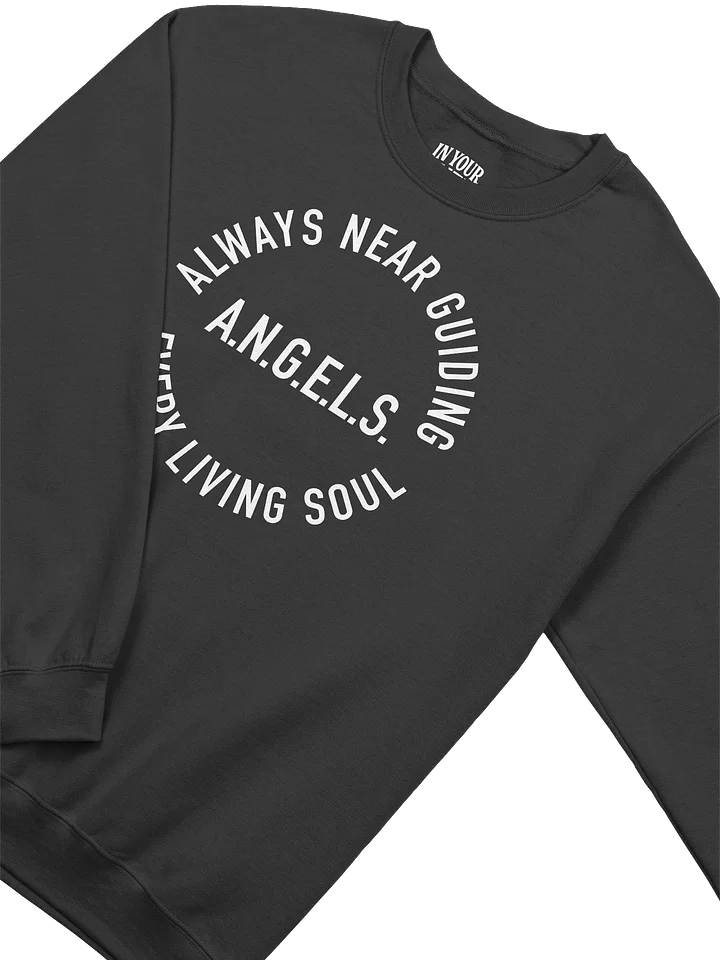 A.N.G.E.L.S. Sweatshirt product image (2)