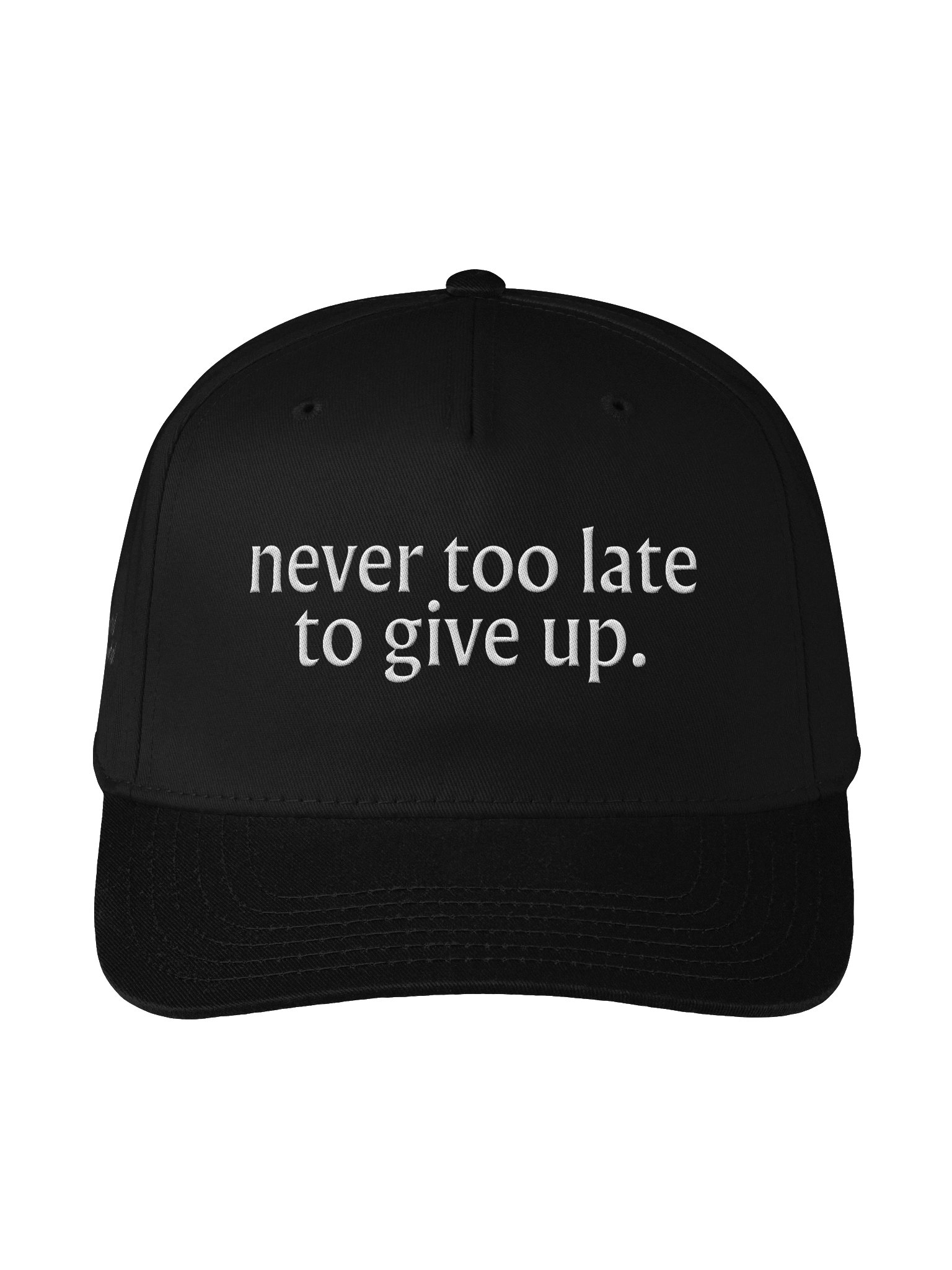 Never Too Late To Give Up product image (1)