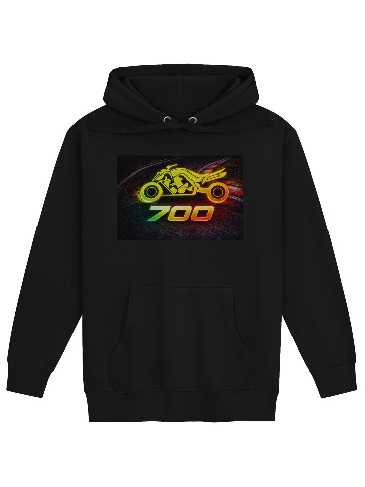 700 - Hoodie product image (1)
