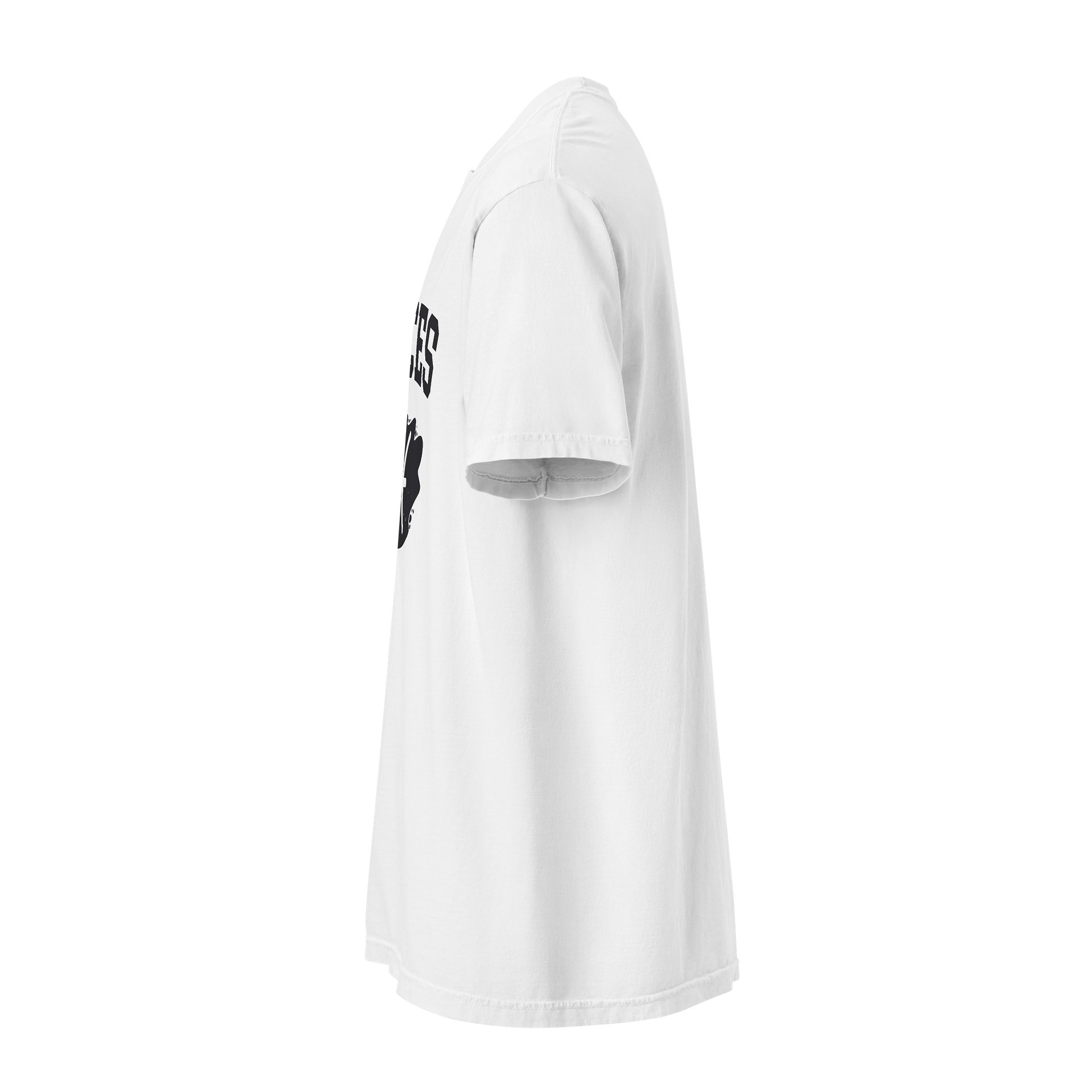 Pisces Zodiac Cap / T-Shirt — Spiritual Soul Psyche Collection product image (38)