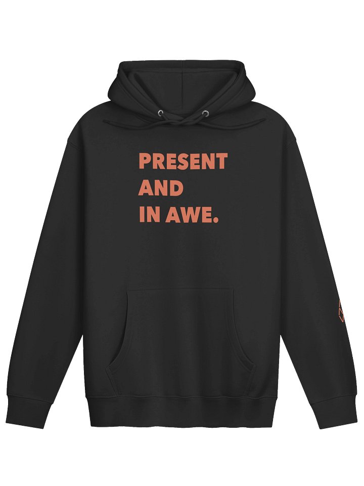 Present And In Awe Pullover Hoodie product image (1)