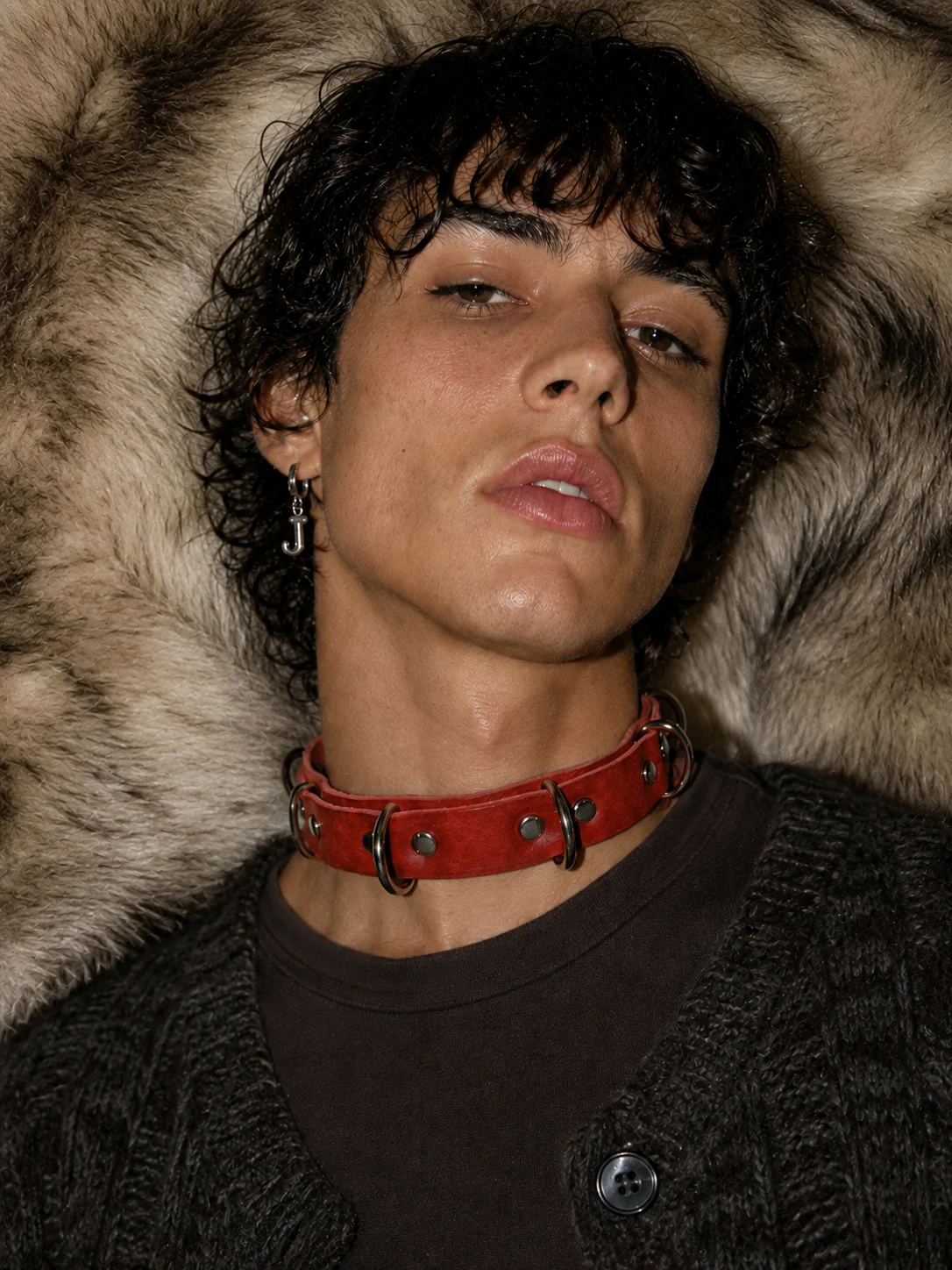 Lil Pup Collar