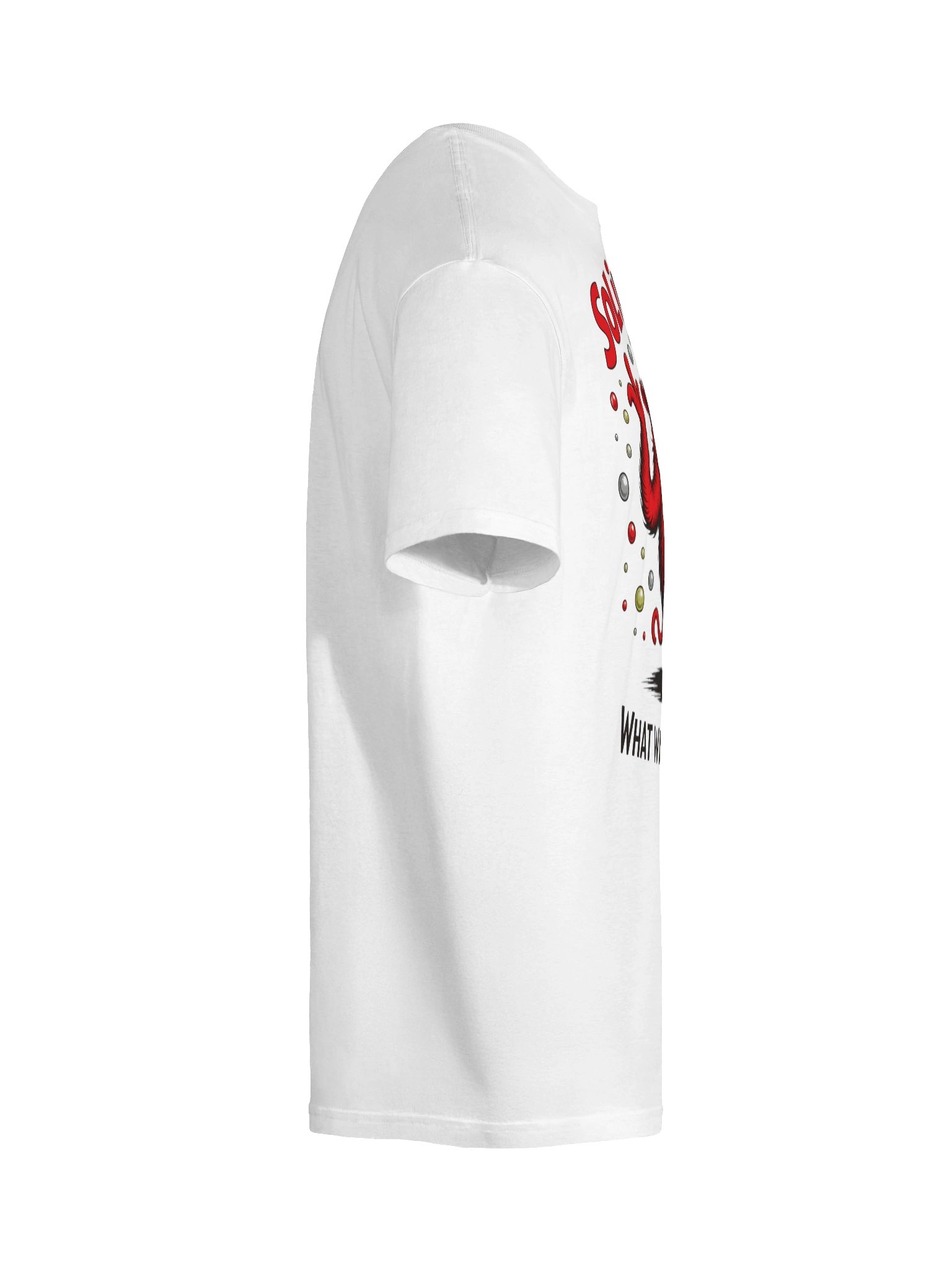 Solid, Liquid or Gas shirt product image (10)