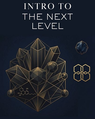 The Masterclass Begins: Welcome to Cannabis 103 🌿

You’ve mastered the 101 foundations. You’ve explored the 102 science. Now,...