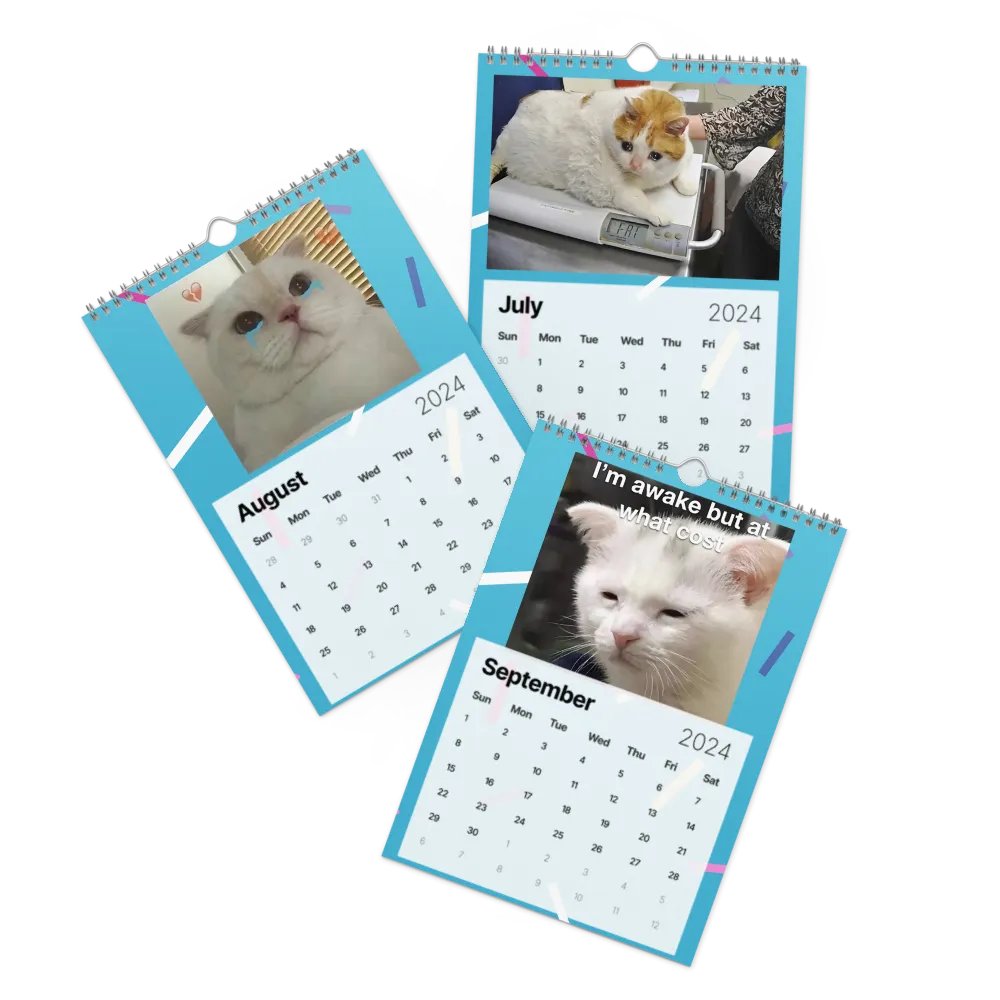 Wall Calendar (2024): Meme Cats product image (11)