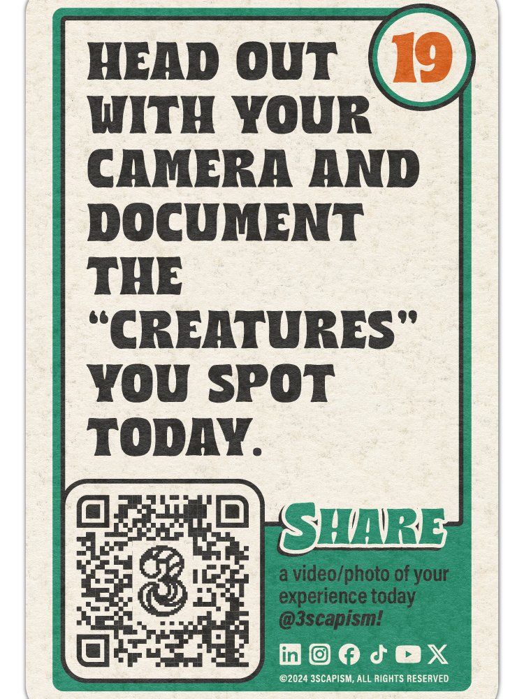 Adventure Cards product image (5)