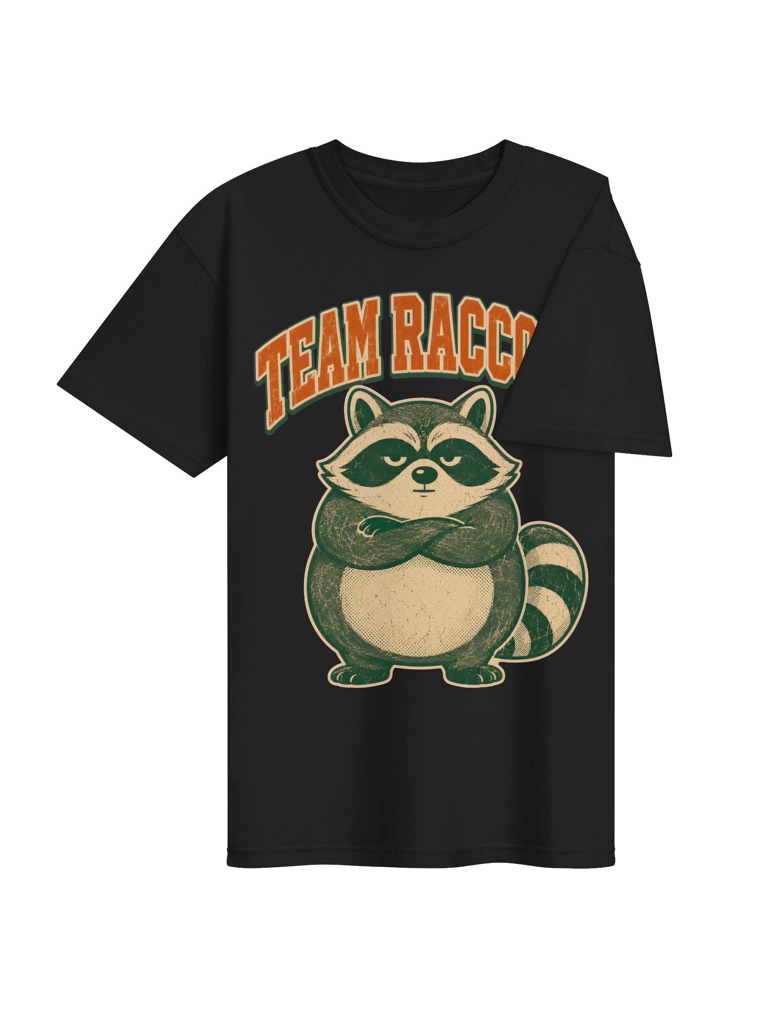 Team Raccoon - Funny Trash Panda Squad T-Shirt product image (49)