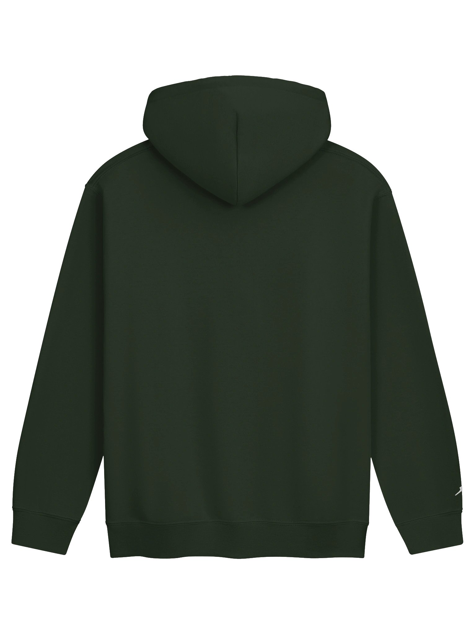 Wealthy & Healthy - Embroidered Hoodie product image (6)