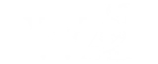 Willie The Owl