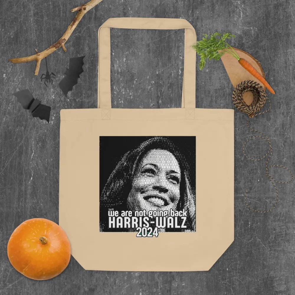 HARRIS-WALZ 2024 WE ARE NOT GOING BACK product image (5)
