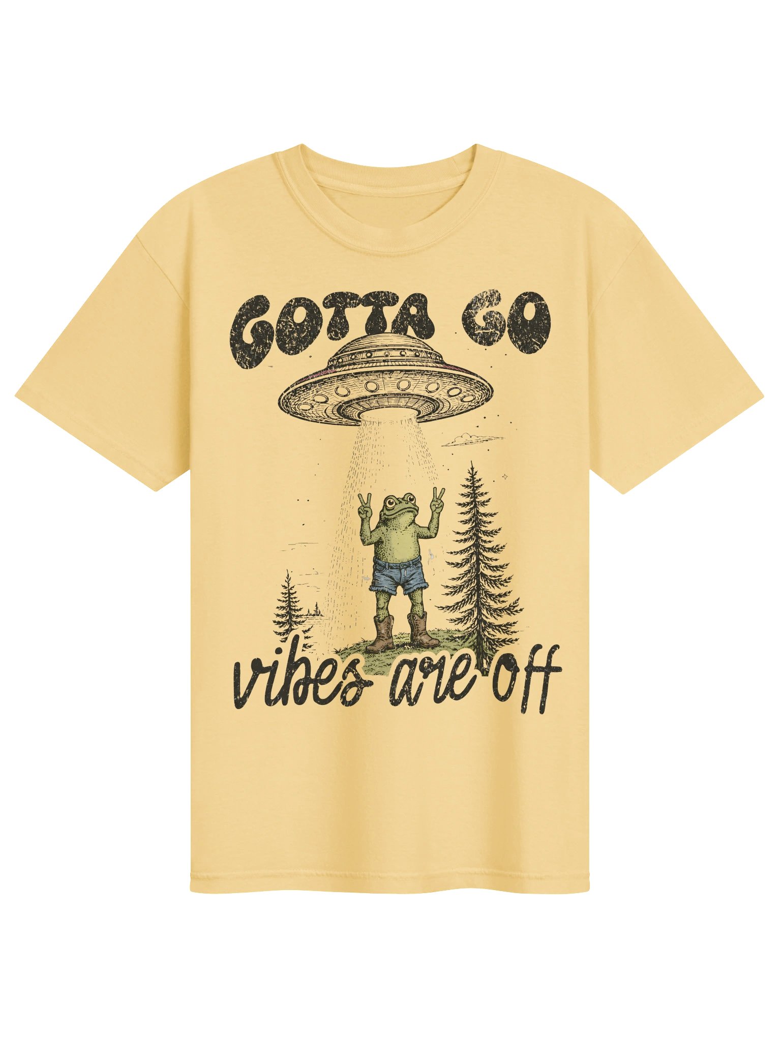 Frog UFO Graphic Tee, Comfort Colors Alien Abduction Shirt, Funny Retro Space T-Shirt, Vibes Are Off Tee, Unisex product image (61)