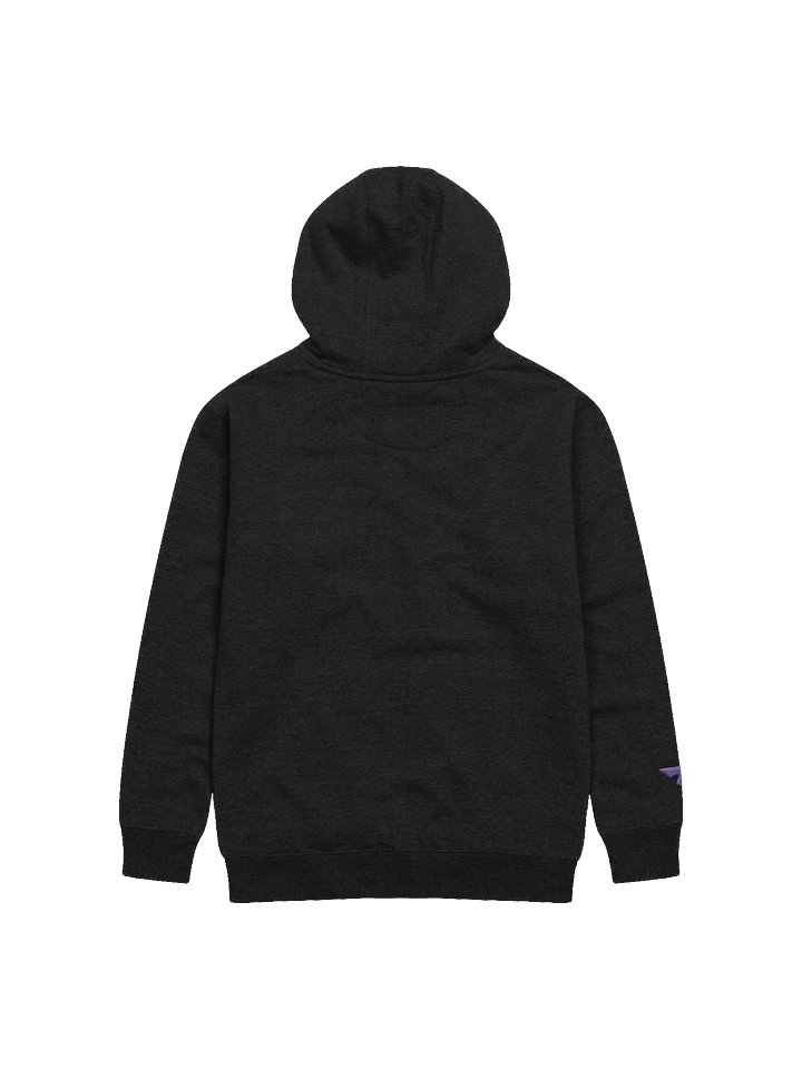 Through Rose Colored Glasses Embroidered Hoodie product image (10)