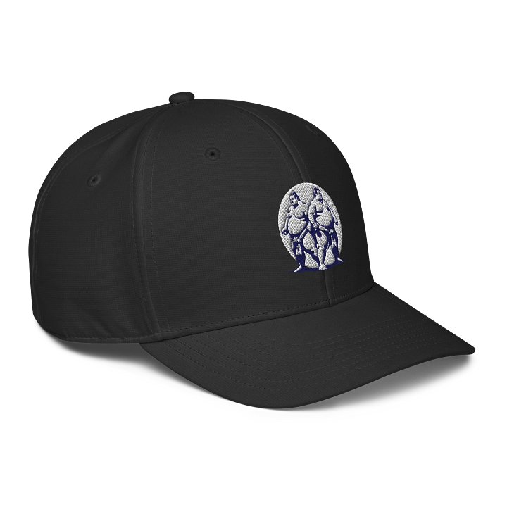 Sumo Showdown Snapback Cap product image (1)