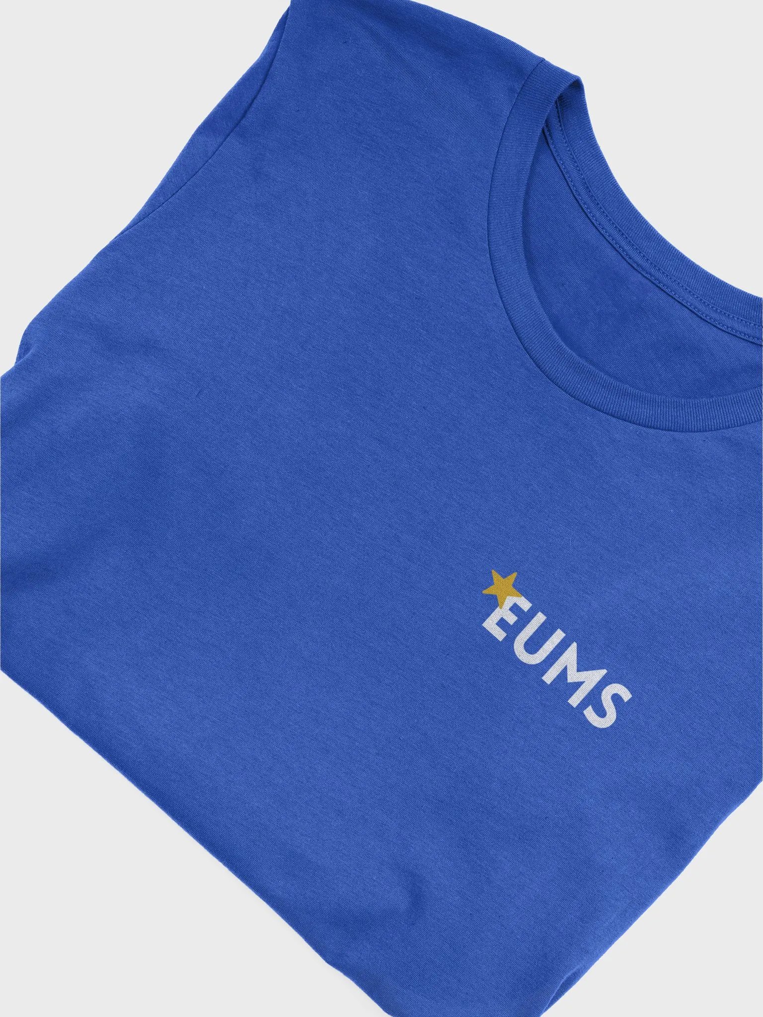 T-Shirt - EUMS - Blue & Variants product image (1)
