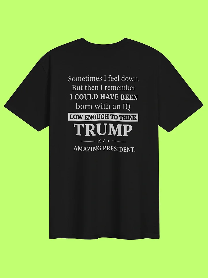 Sometimes I Feel Down I Could Have Been Trump Shirt product image (152)