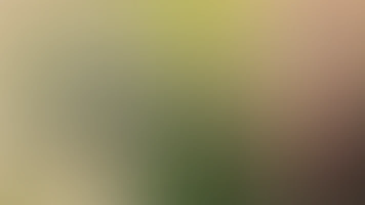 Video thumbnail background