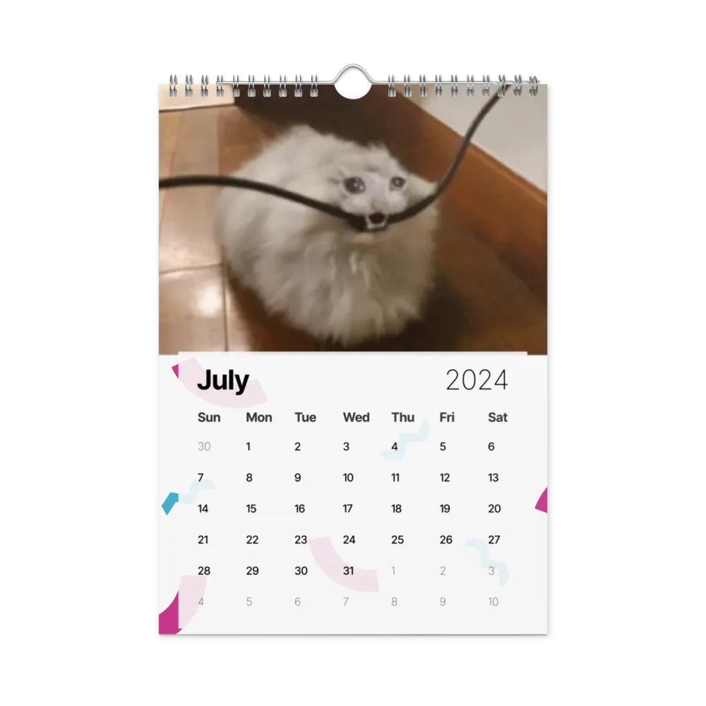 Wall Calendar (2024): Meme Cats product image (10)