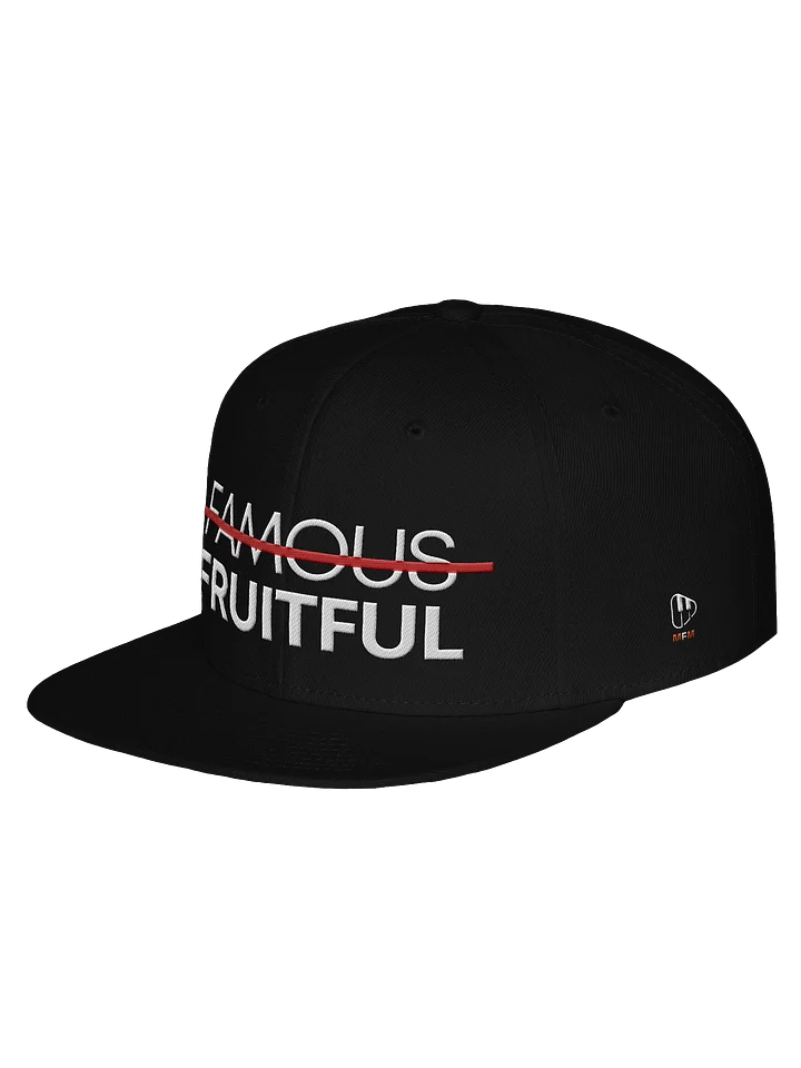 Not Famous But Fruitful Snapback product image (2)