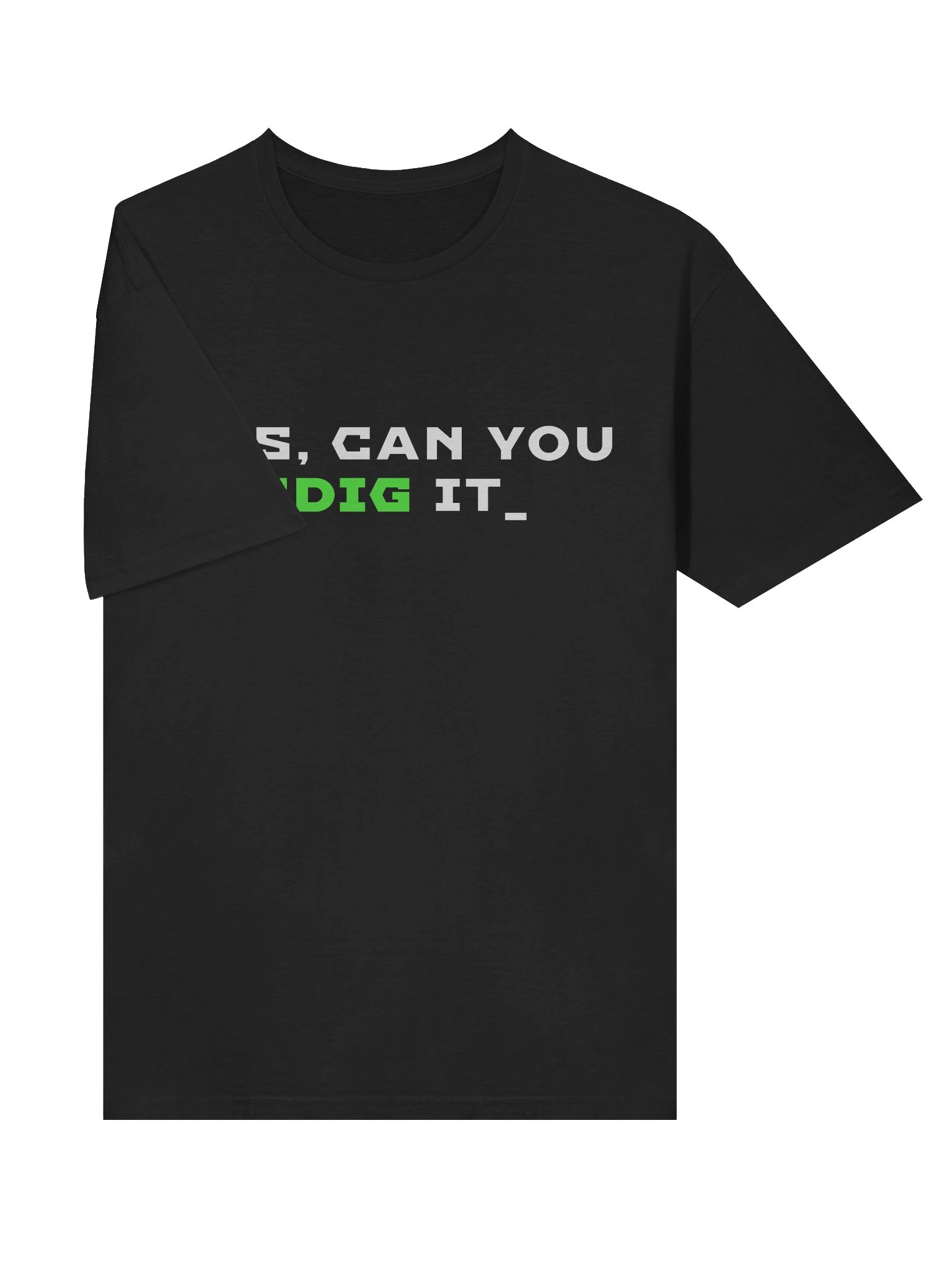 DNS - Can you Dig It? product image (5)