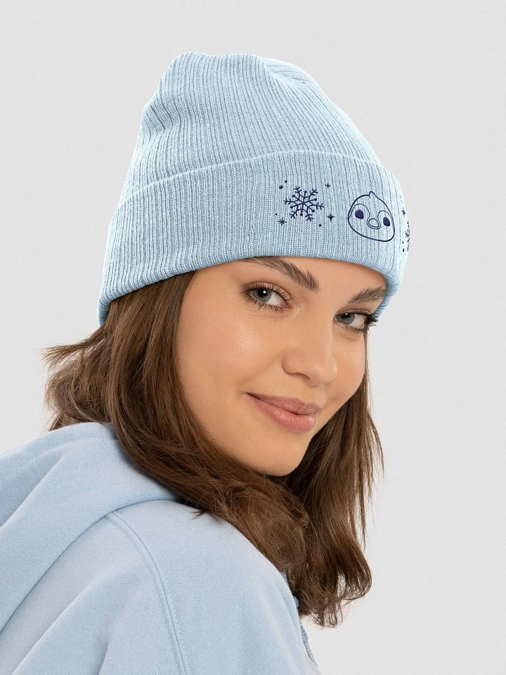 Penguin beanie | Arctic dreams product image (2)