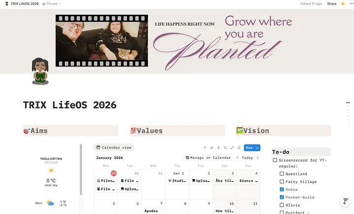 LifeOS 2026 - Template for Notion (digital download) product image (2)