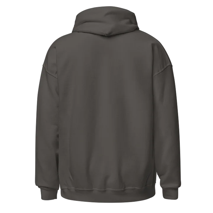 “My Kink Is Authenticity” Charcoal Classic Unisex Hoodie product image (2)