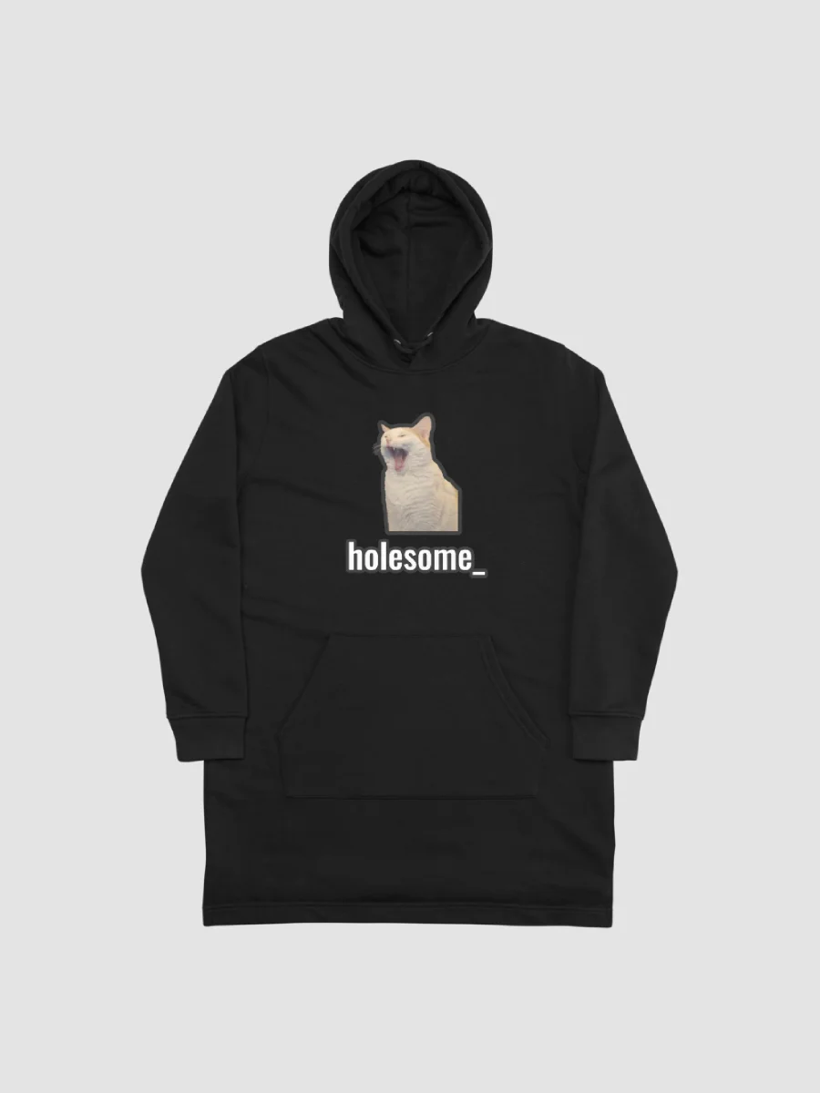 holesome Nico Hoodie Dress product image (1)