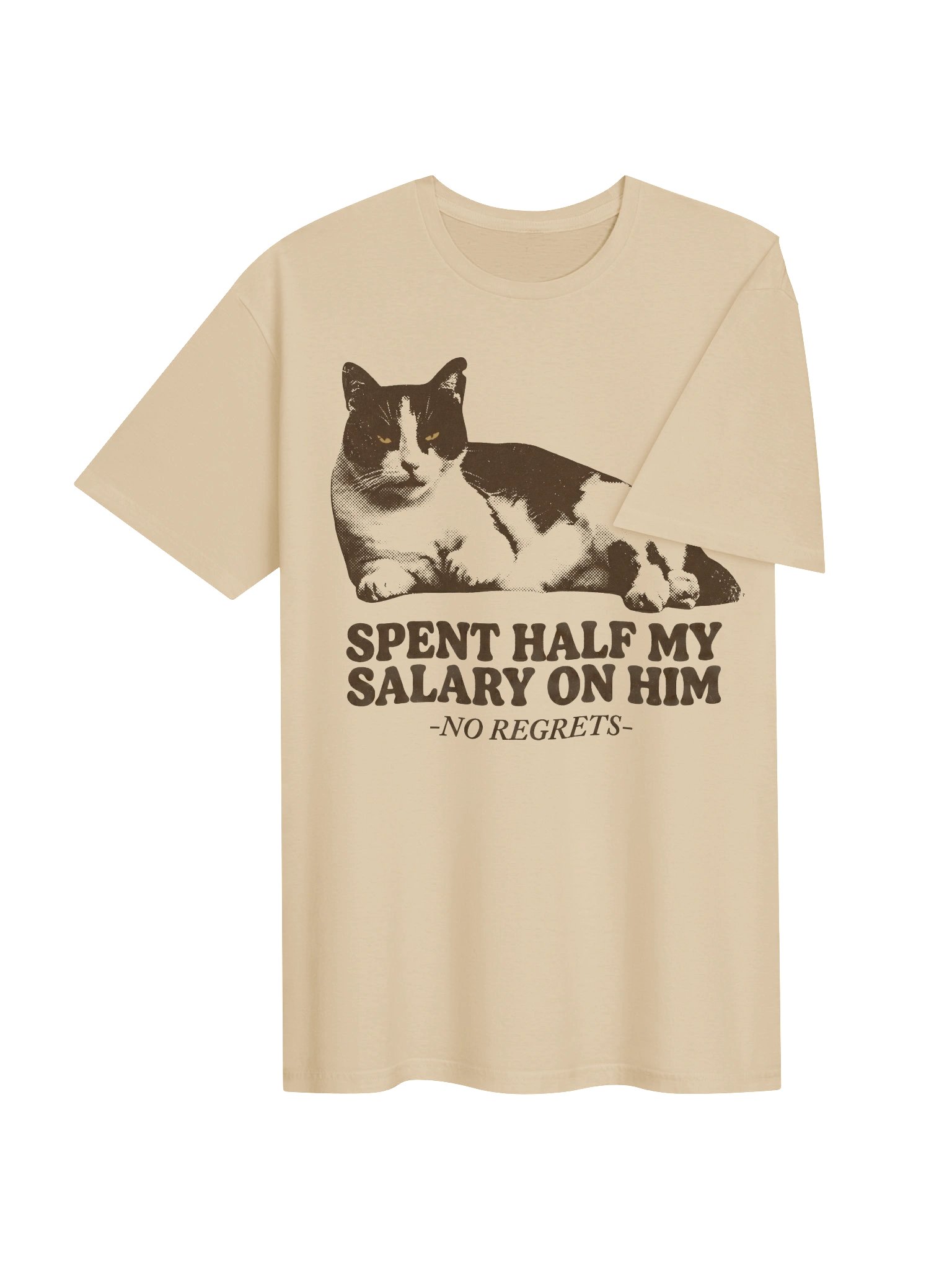 Spent My Salary Cat T-Shirt product image (17)