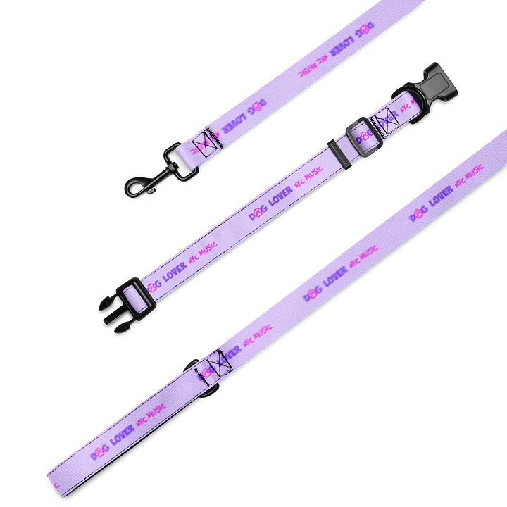 DogLoverNYCMusic Collar and Leash Set product image (2)