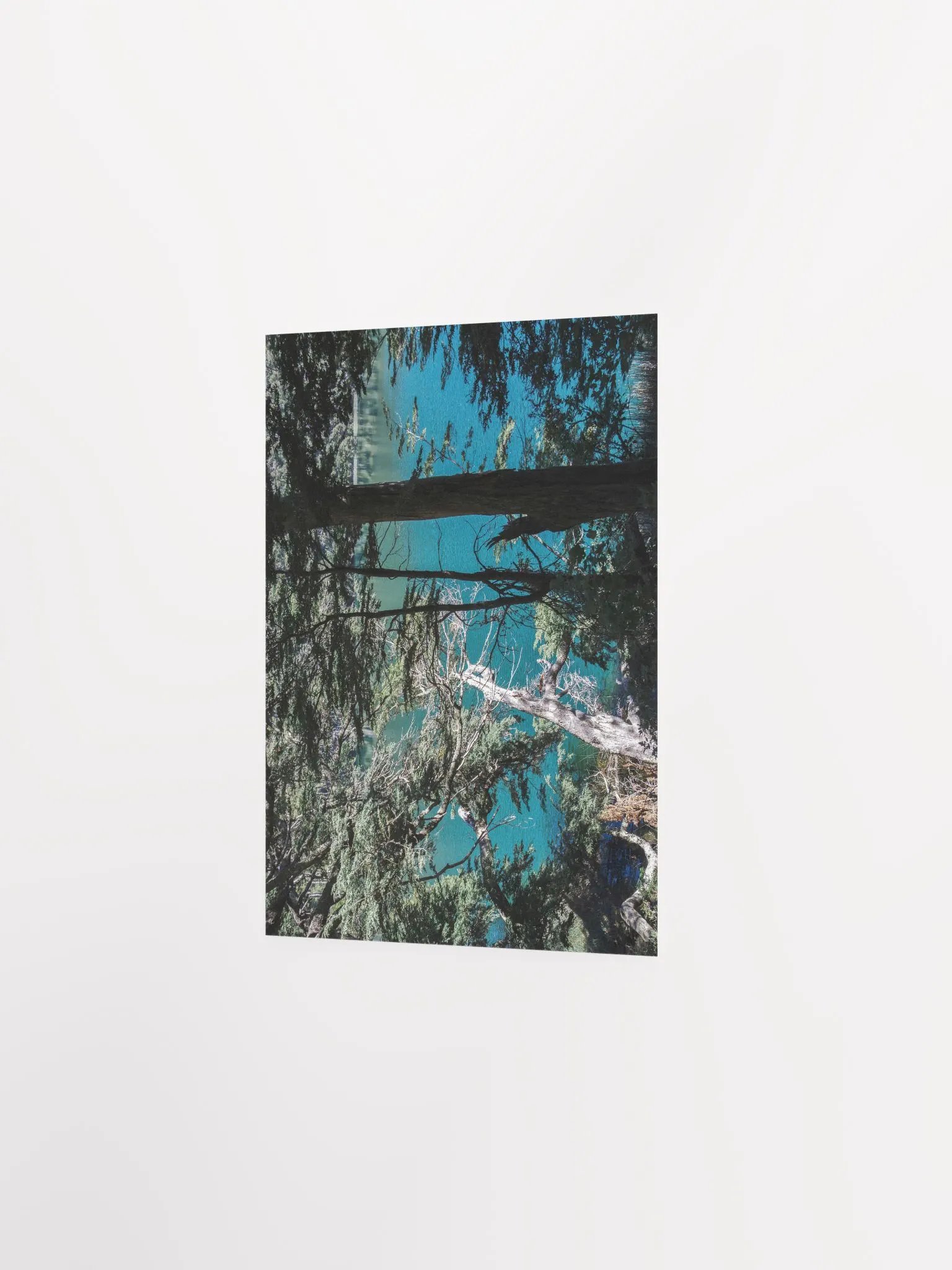 Lago Espejo Patagonia - Enhanced Matte Paper Poster product image (3)
