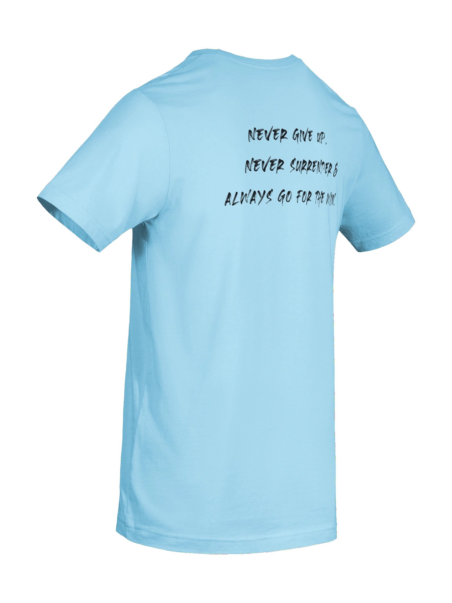 Never Surrender product image (102)