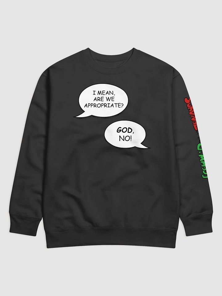 Are we appropriate? Sweatshirt product image (5)