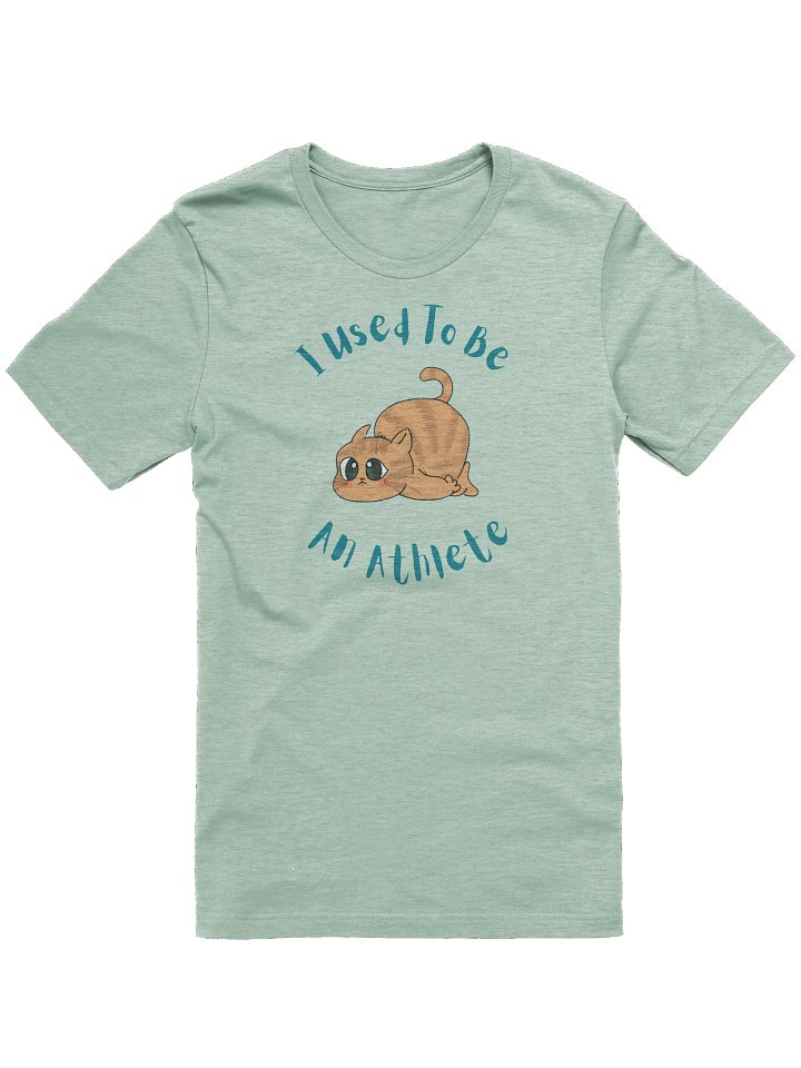 Chubby Cat Confession Tee product image (1)