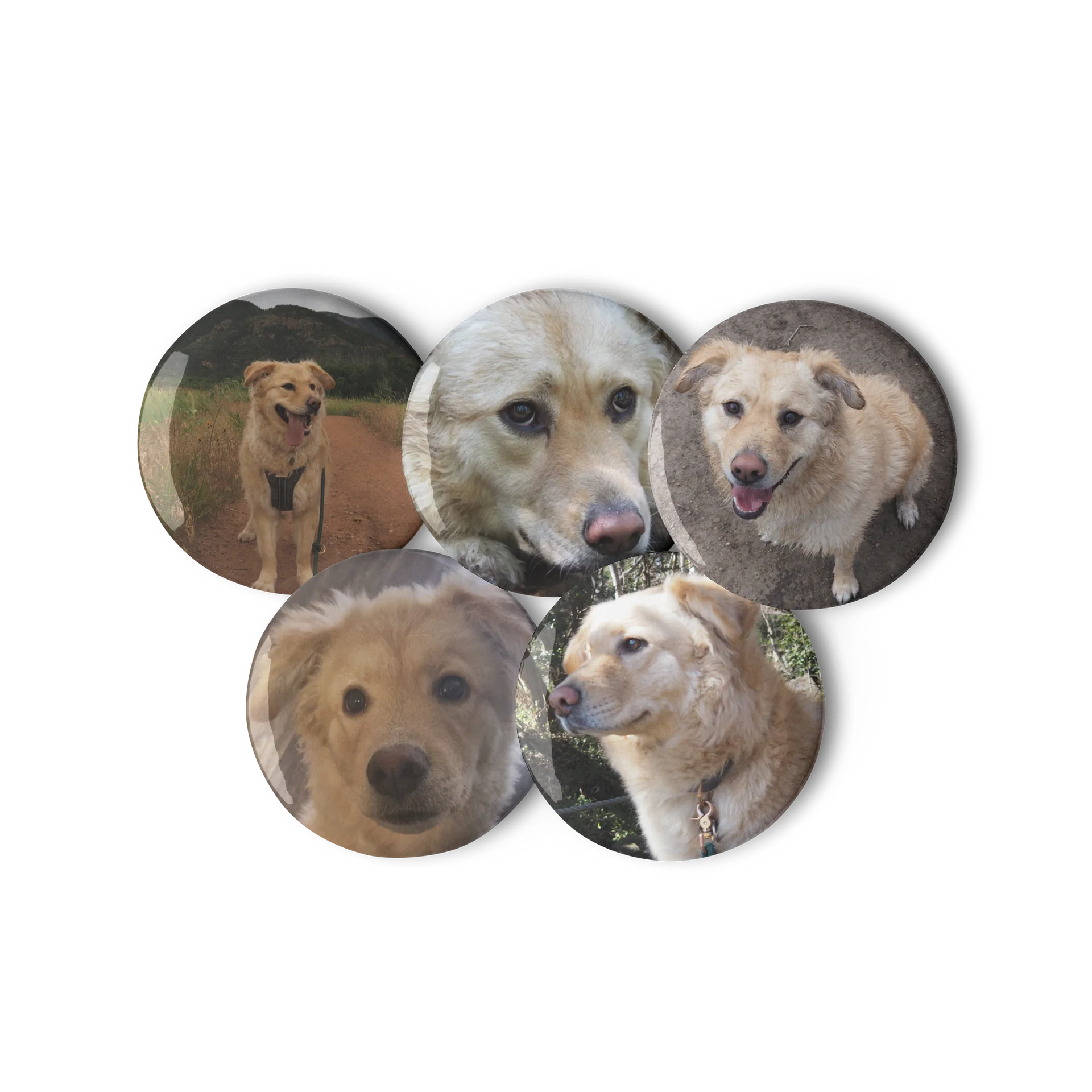 Milo's Life Button Collection (February 2026) product image (3)