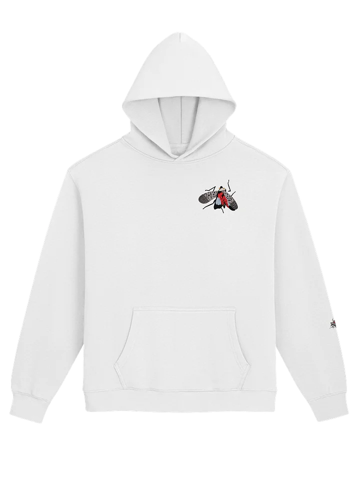 Oversized Hoodie 2 product image (1)