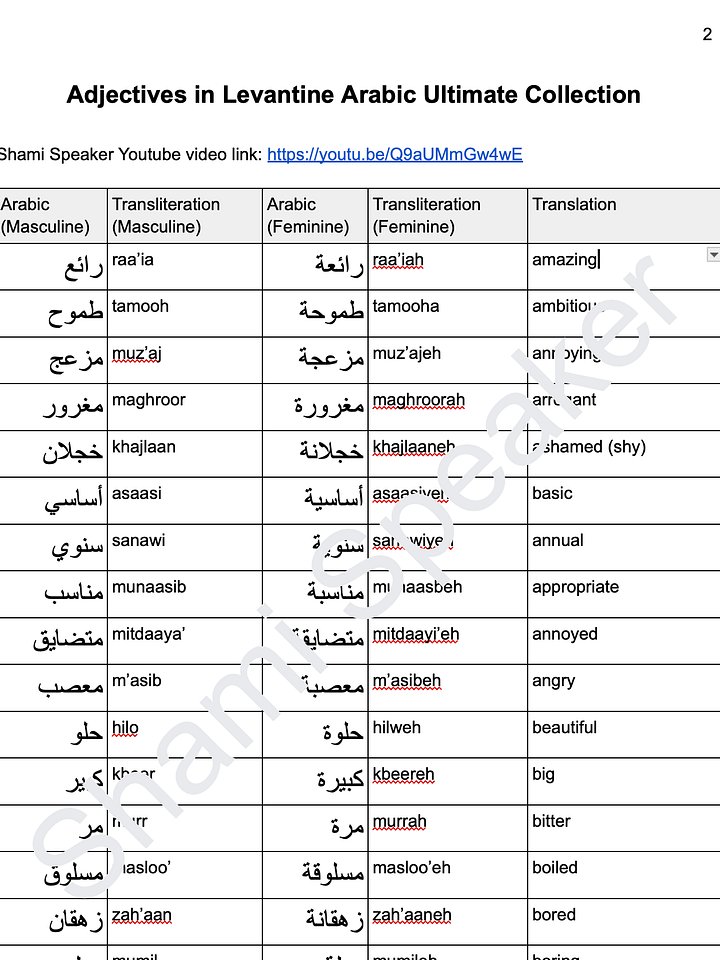 Adjectives in Levantine Arabic Ultimate Collection product image (2)