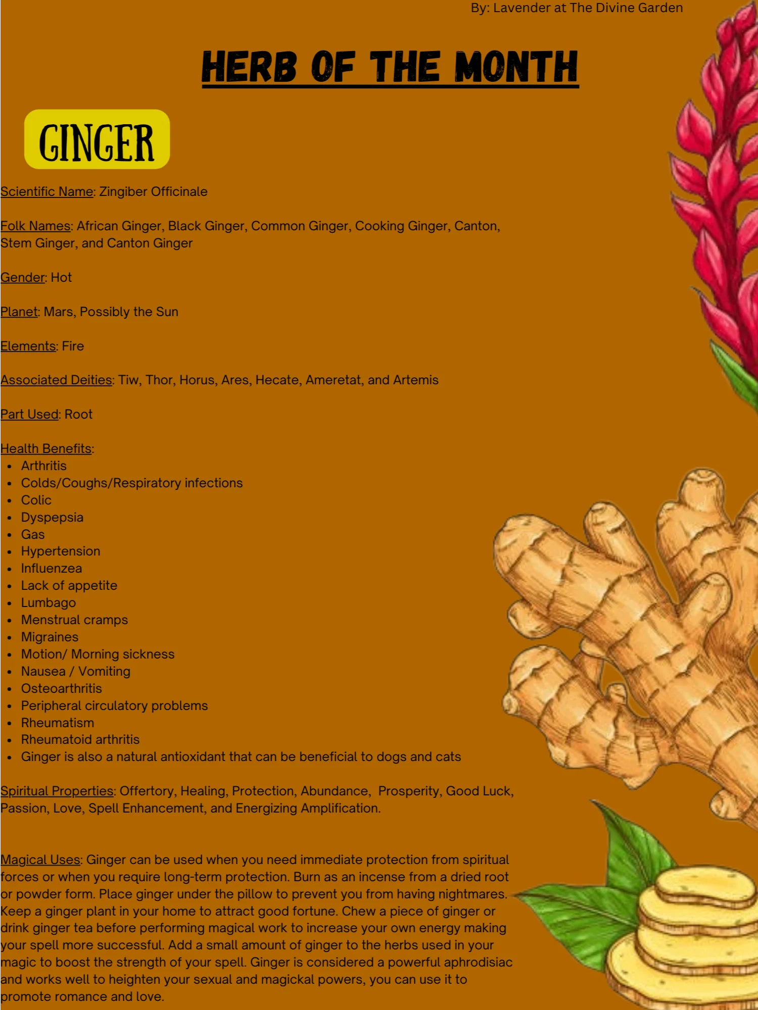 Ginger product image (1)