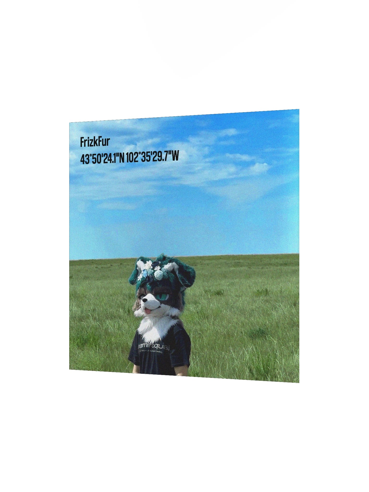 Scenic Frizk product image (2)