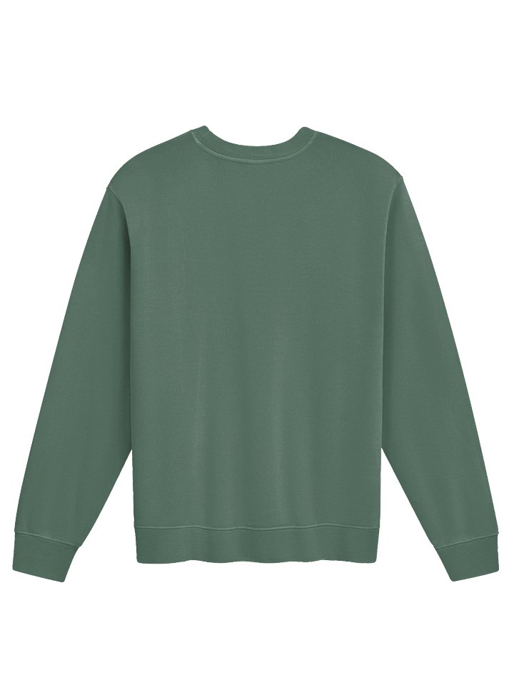 PORCH LORE DEVAN MIDWEIGHT PIGMENT DYED SWEATSHIRT product image (6)