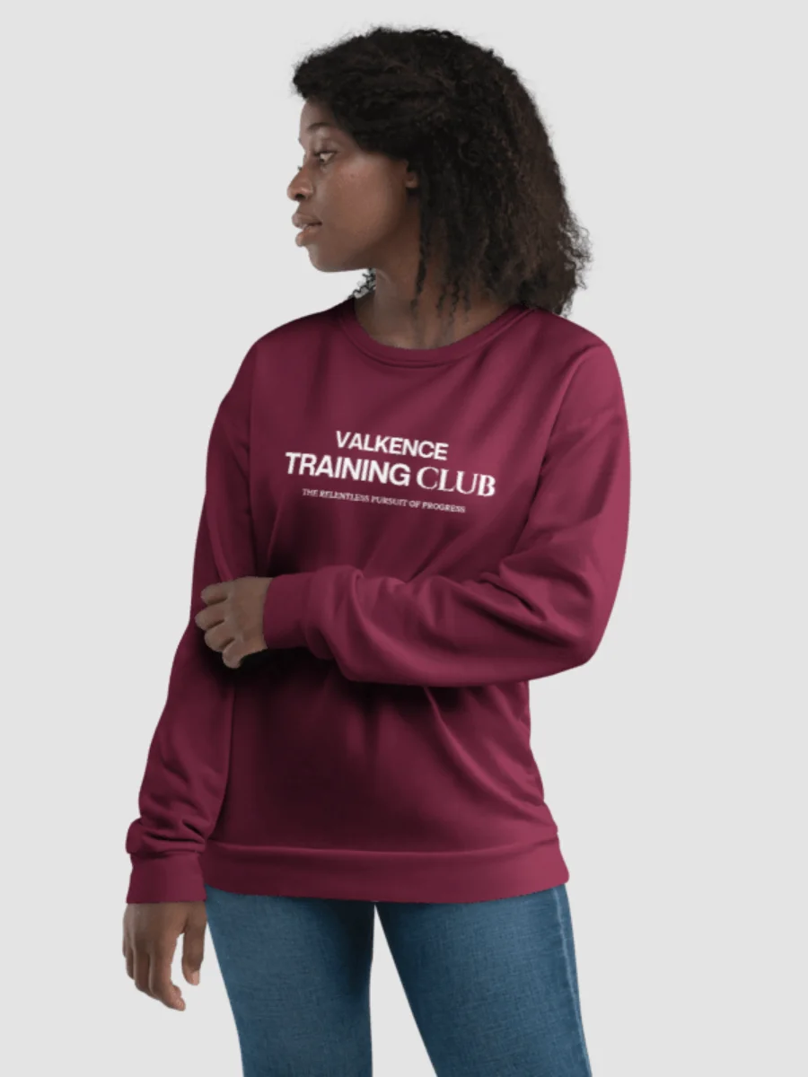 Training Club Sweatshirt - Plum product image (5)